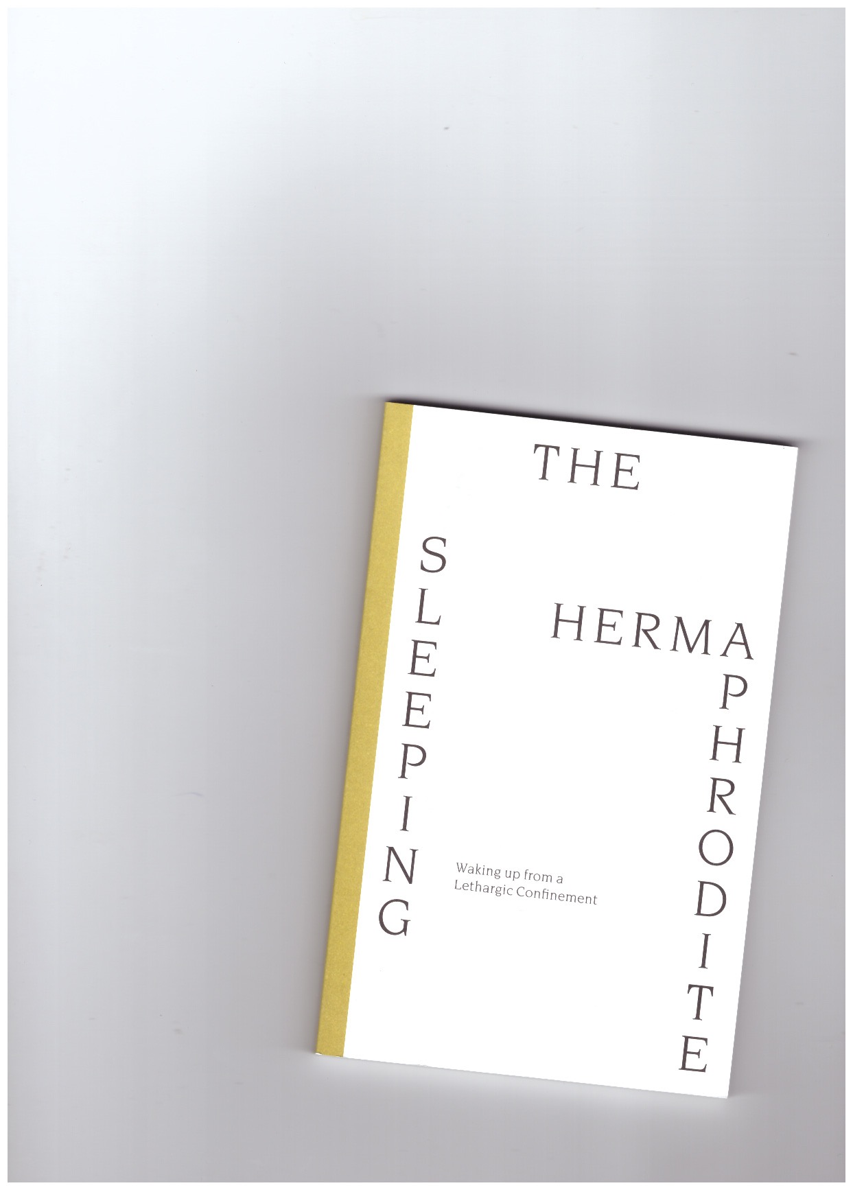 BERGÉ, David (ed.) - The Sleeping Hermaphrodite. Waking up from a Lethargic Confinement
